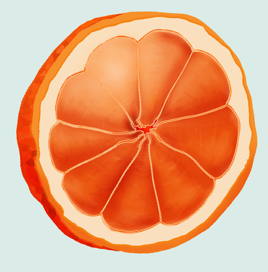 Illustration of orange 
