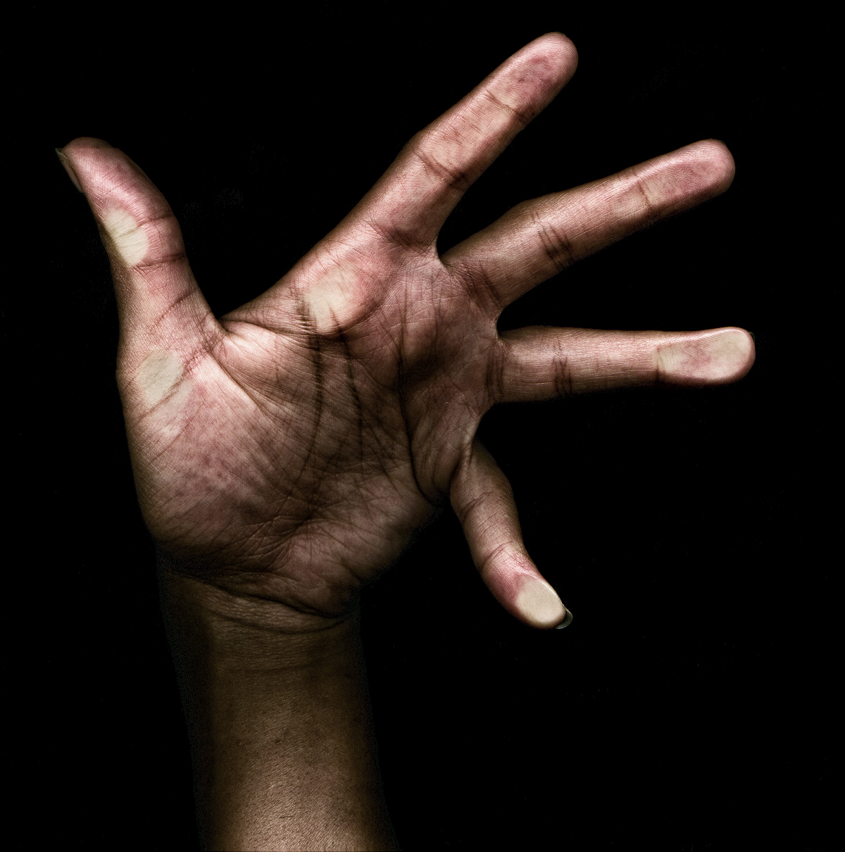 Photography Hand Study for CD Cover