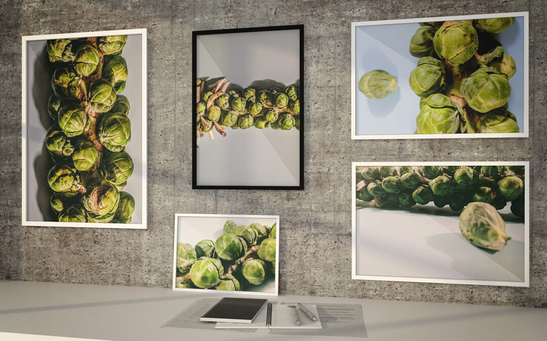 PHOTOGRAPHY Brussels Sprouts